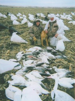 snow goose hunting guide service
